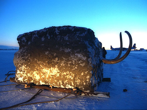 GLAÇONS en Sac de 2 Kg - - La Cave d'Antoine